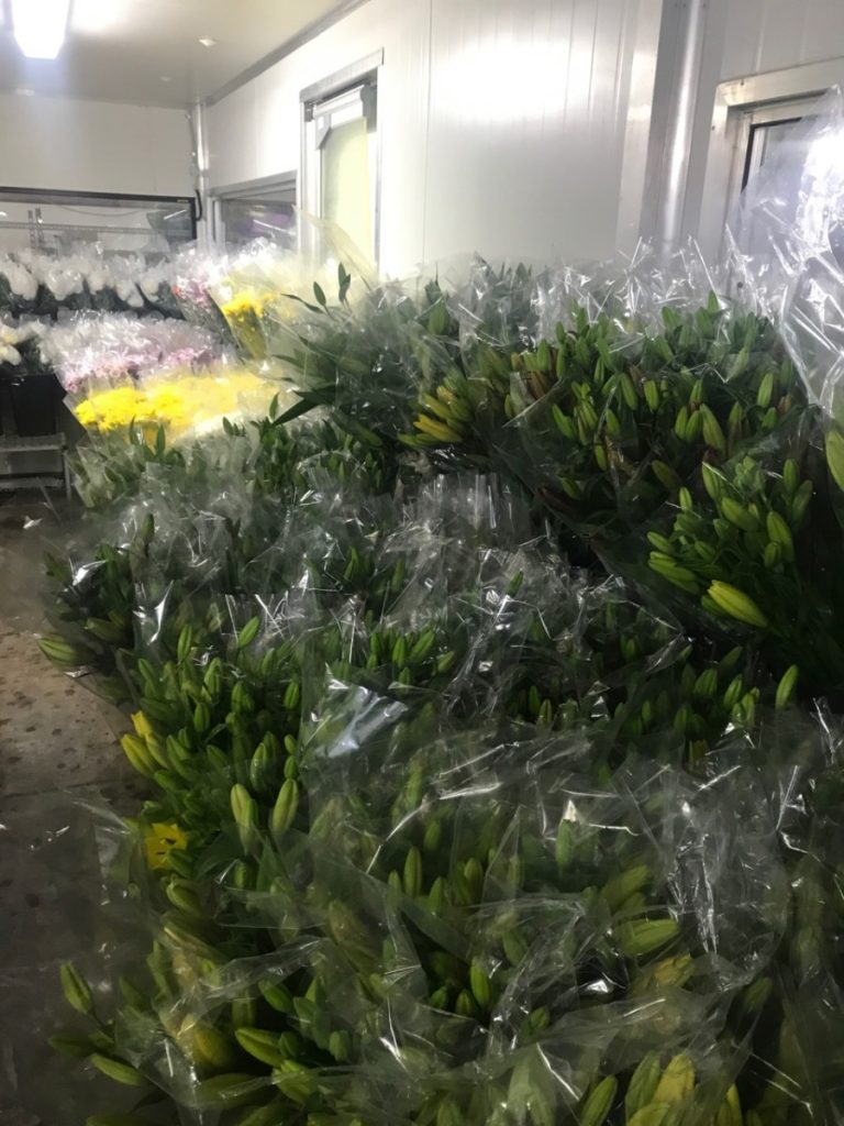 Fresh flowers being picked at the markets by Code Bloom