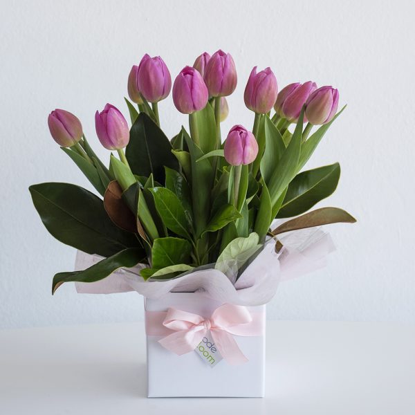 Tulip Box arrangement