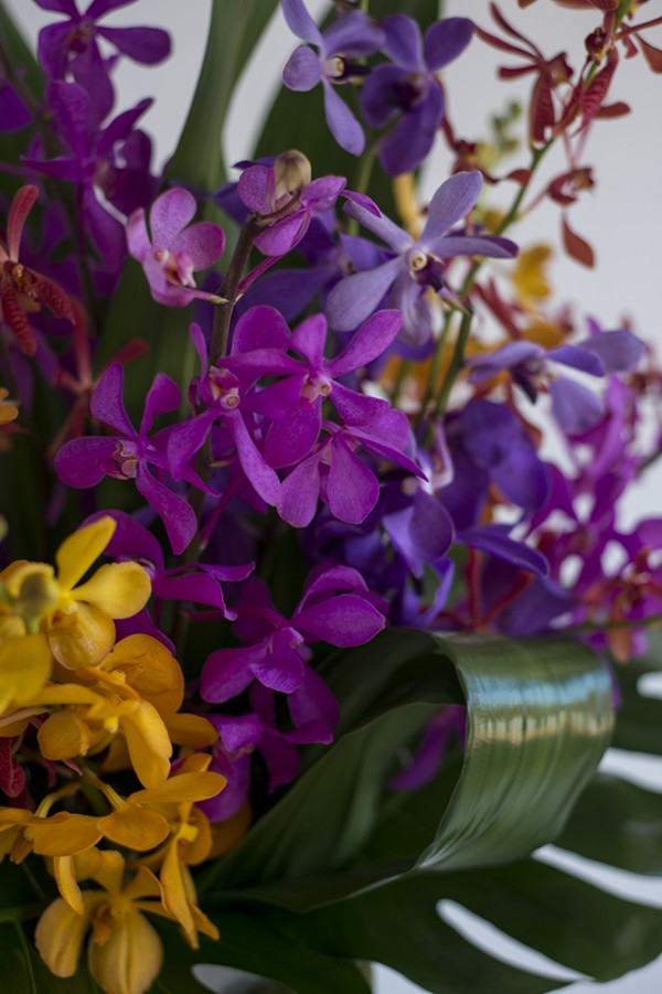 Orchid Vase Close Up