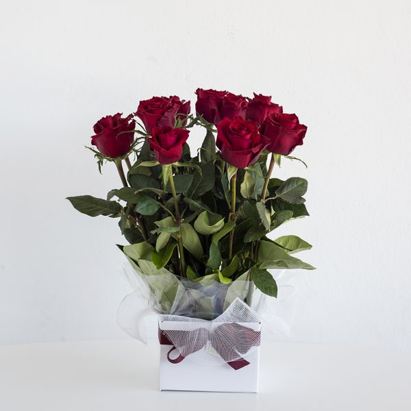 12 Red Roses arranged in to a box with beautiful greenery, romantic