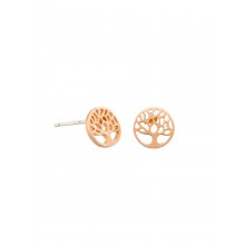Popular tree of life design stud earrings - rose gold by Tiger Tree