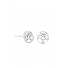 Popular tree of life design stud earrings - silver. by Tiger Tree