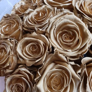 close up gold 12 preserved roses