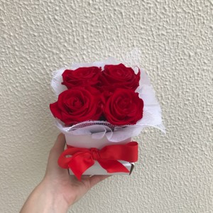 red preserved roses