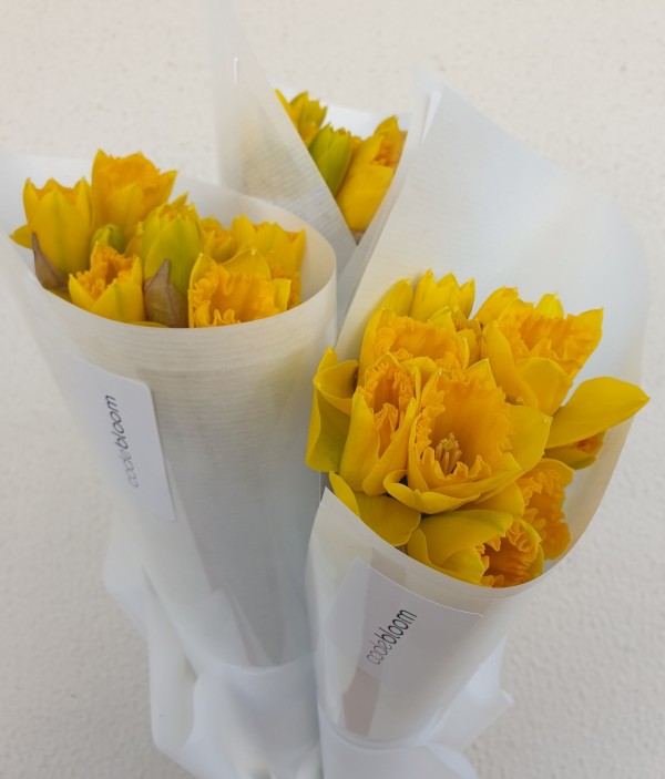 daffodil day bouquet