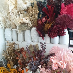 Collection of dried and preserved flowers