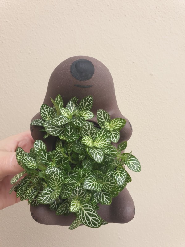 wombat planter