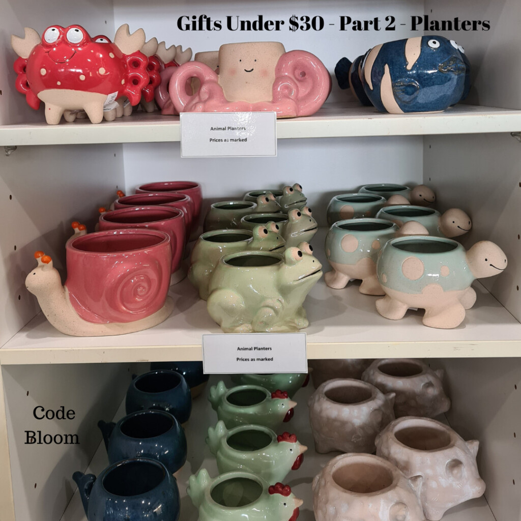 Gifts Under $30 at Code Bloom – Planters
